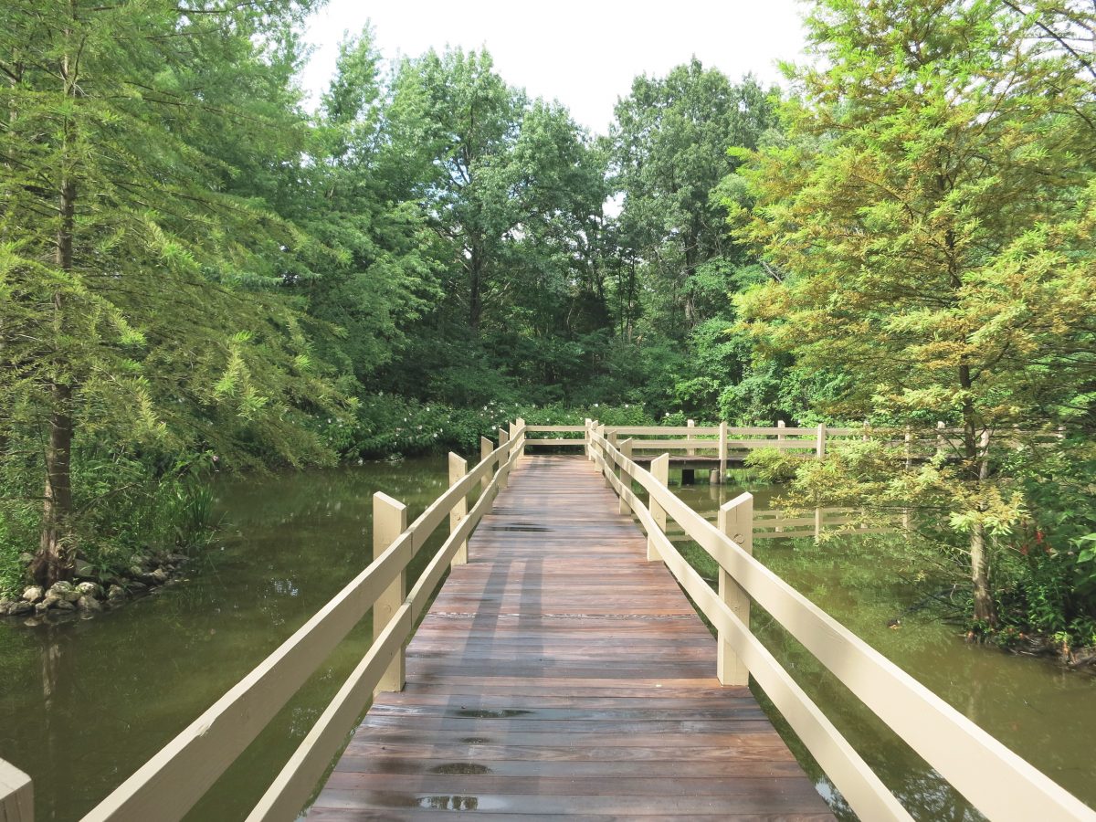 A wooden dock walkway across the water.