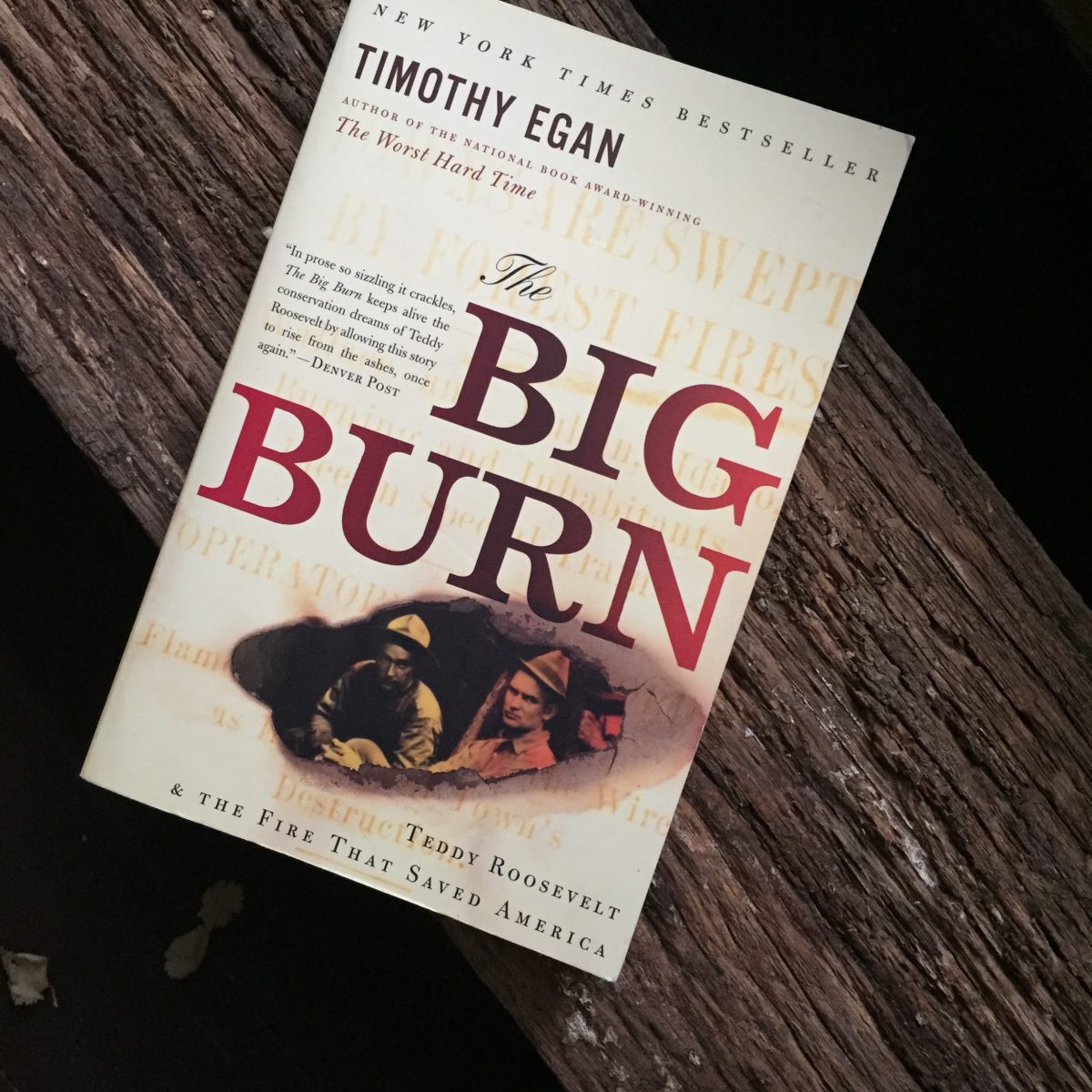 A book titiled The Big Burn