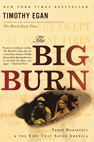 The Big Burn Cover