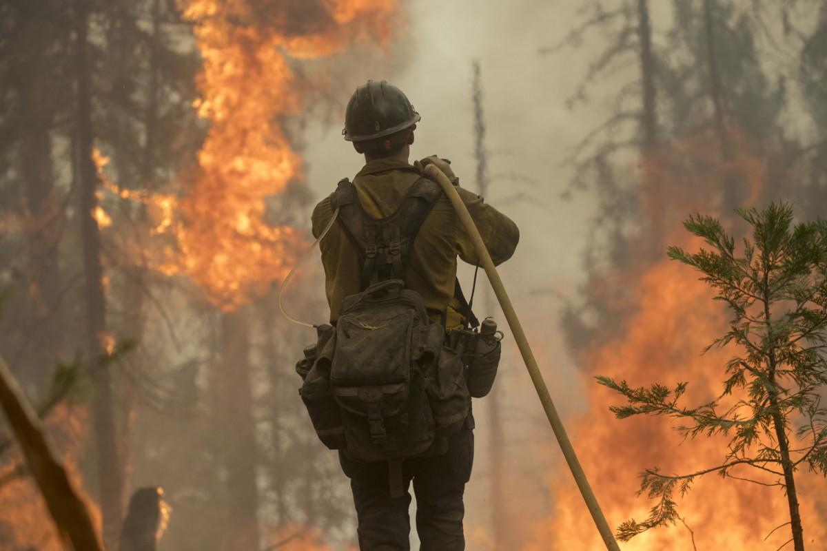 Firefighter carries hose towards a flaming forest.
