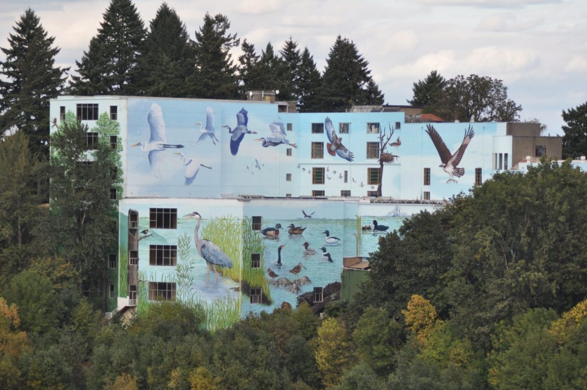 Outside view of the Michigan Outdoor Adventure Center, covered with paintings of birds.
