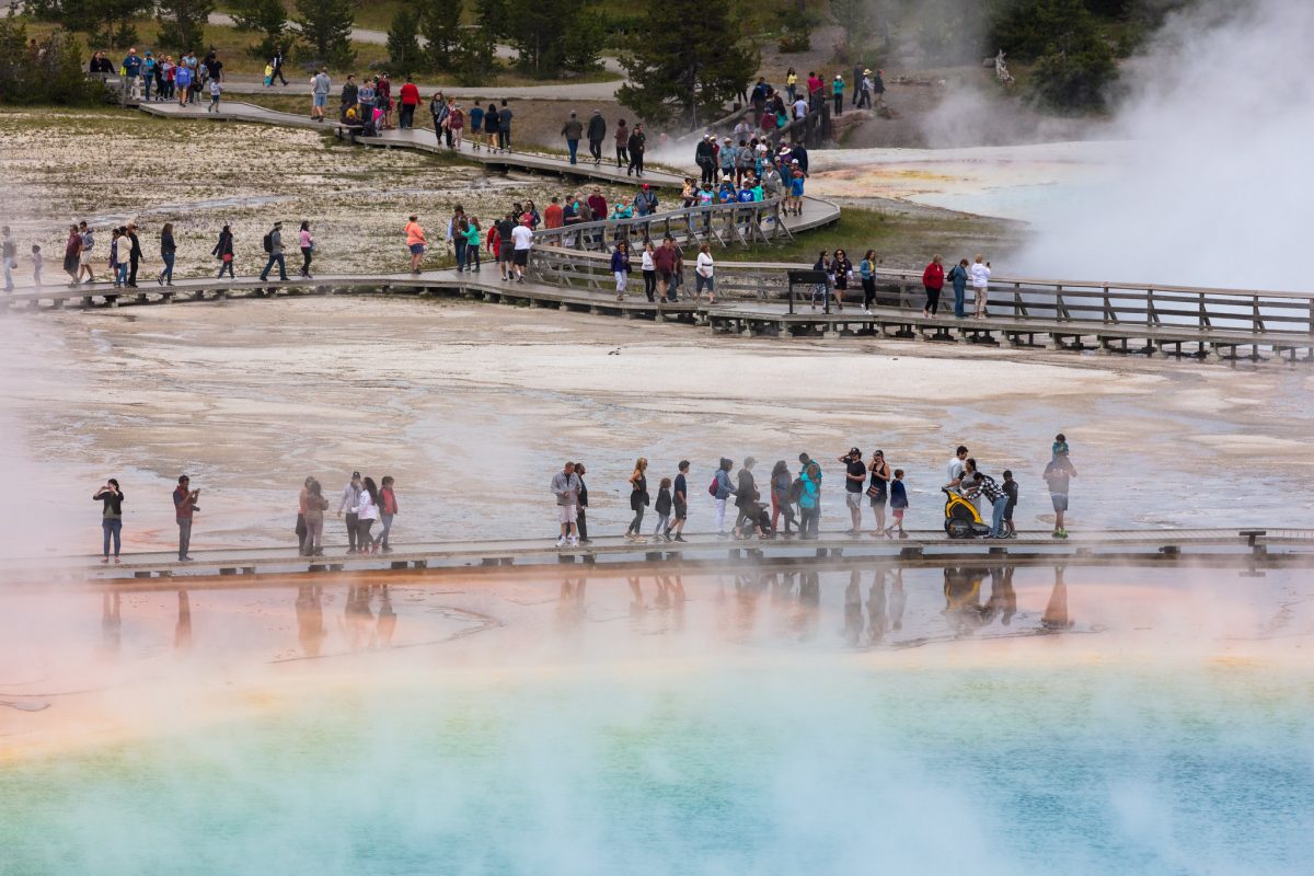 Crowds wander boardwalks around Yellowstone geysers