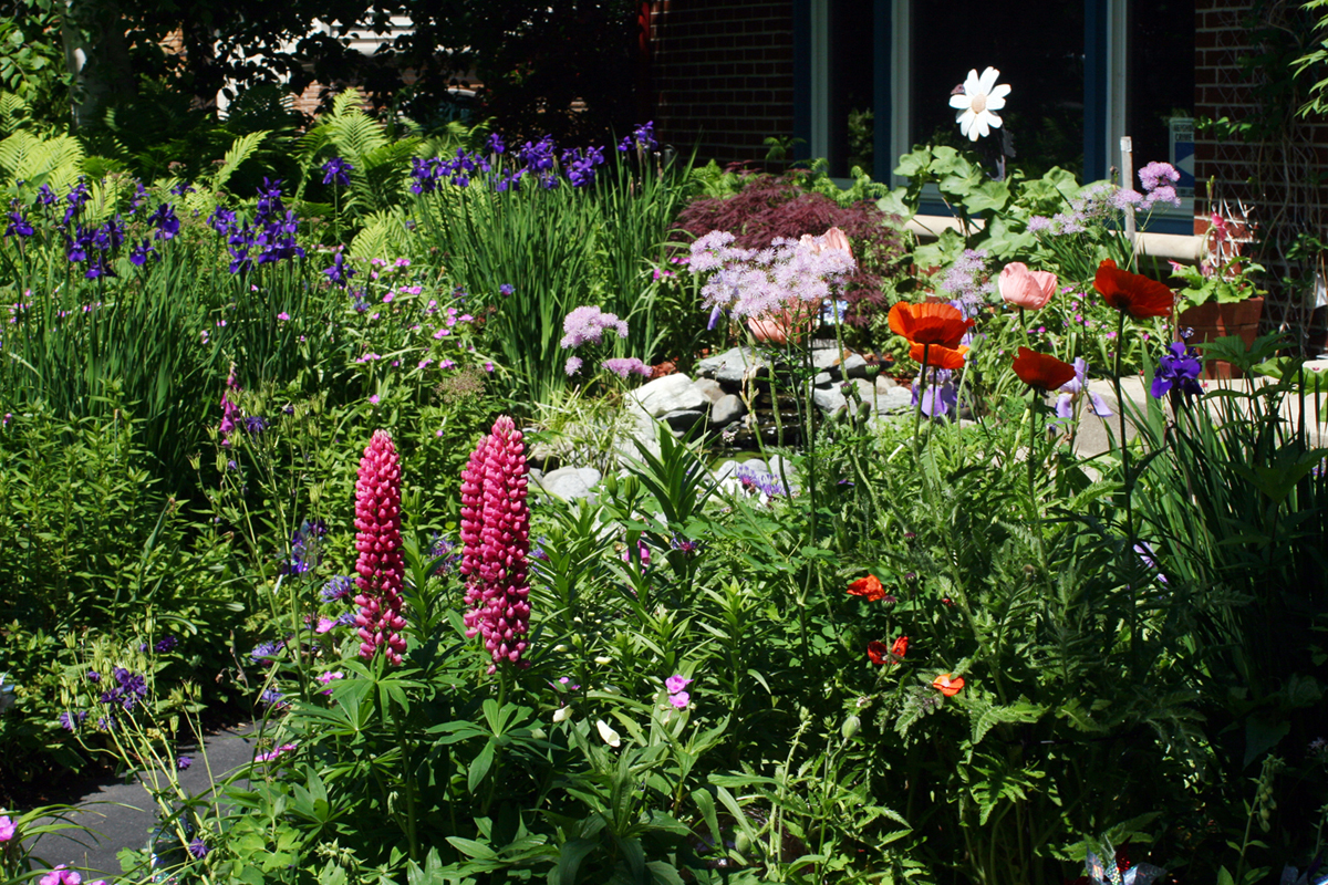 A backyard flower garden