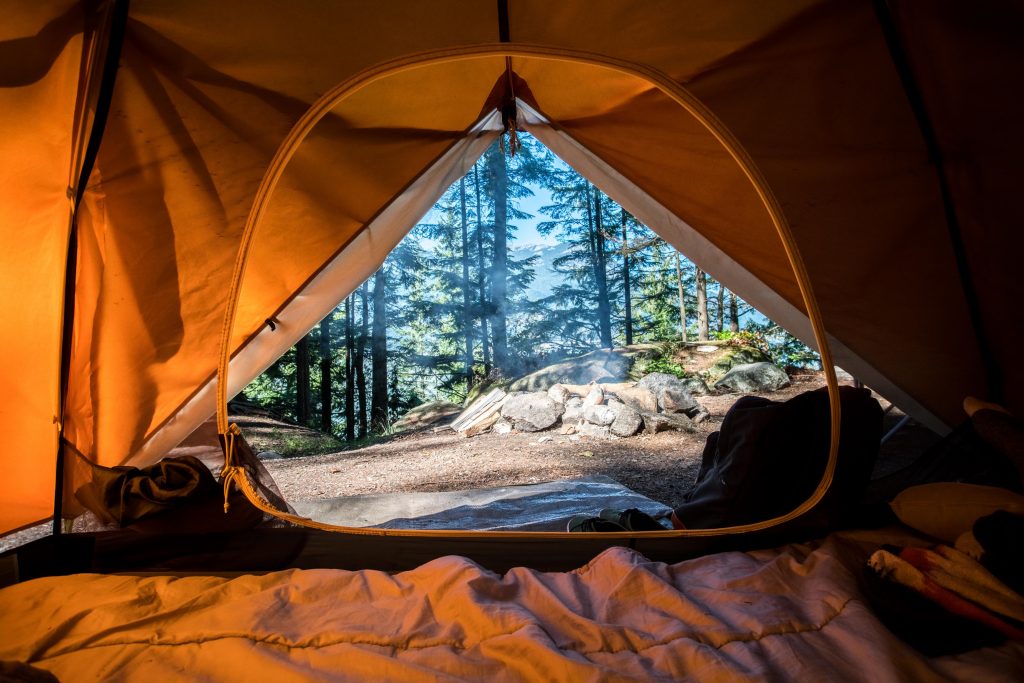 View from the inside of a tent looking in a forest