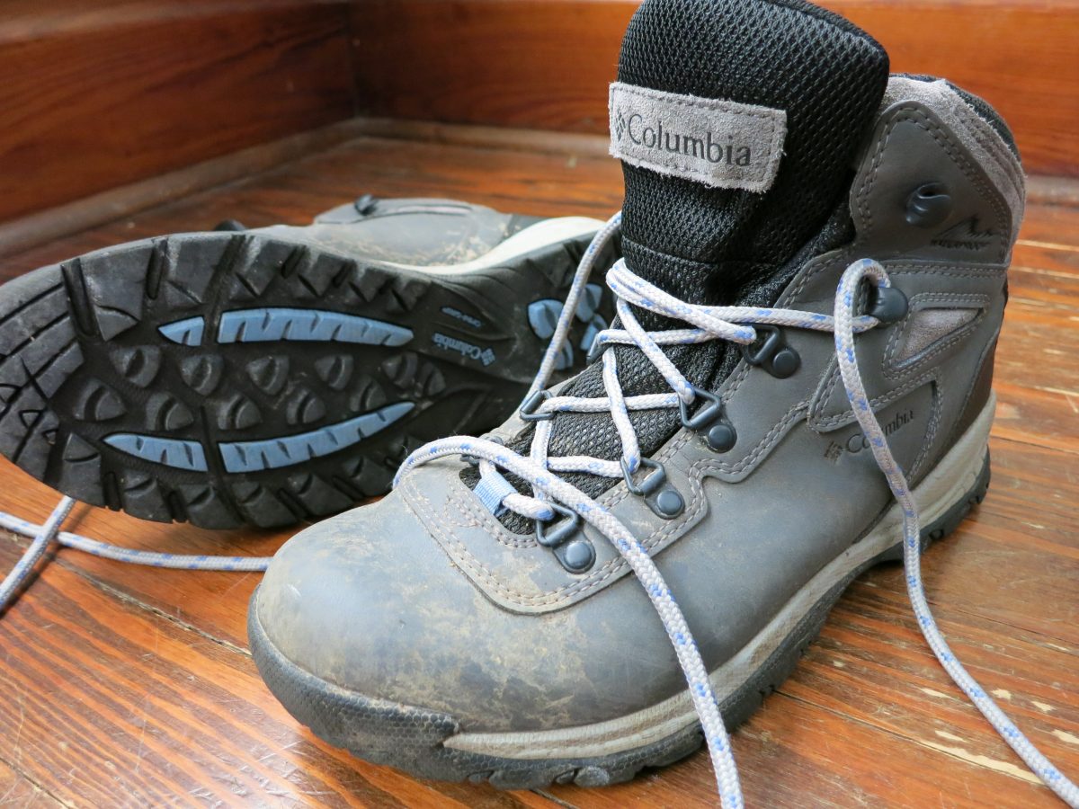 Columbia women's newton ridge plus hiking boots