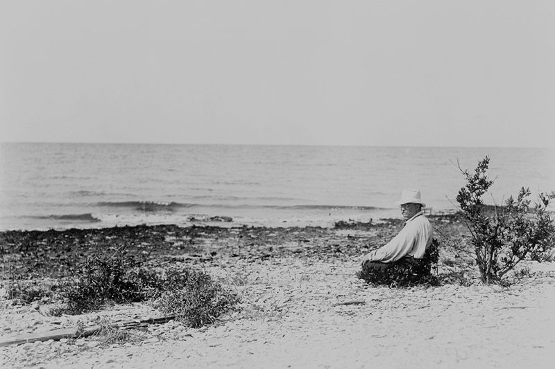 Teddy Roosevelt sits near the ocean on Bird Island