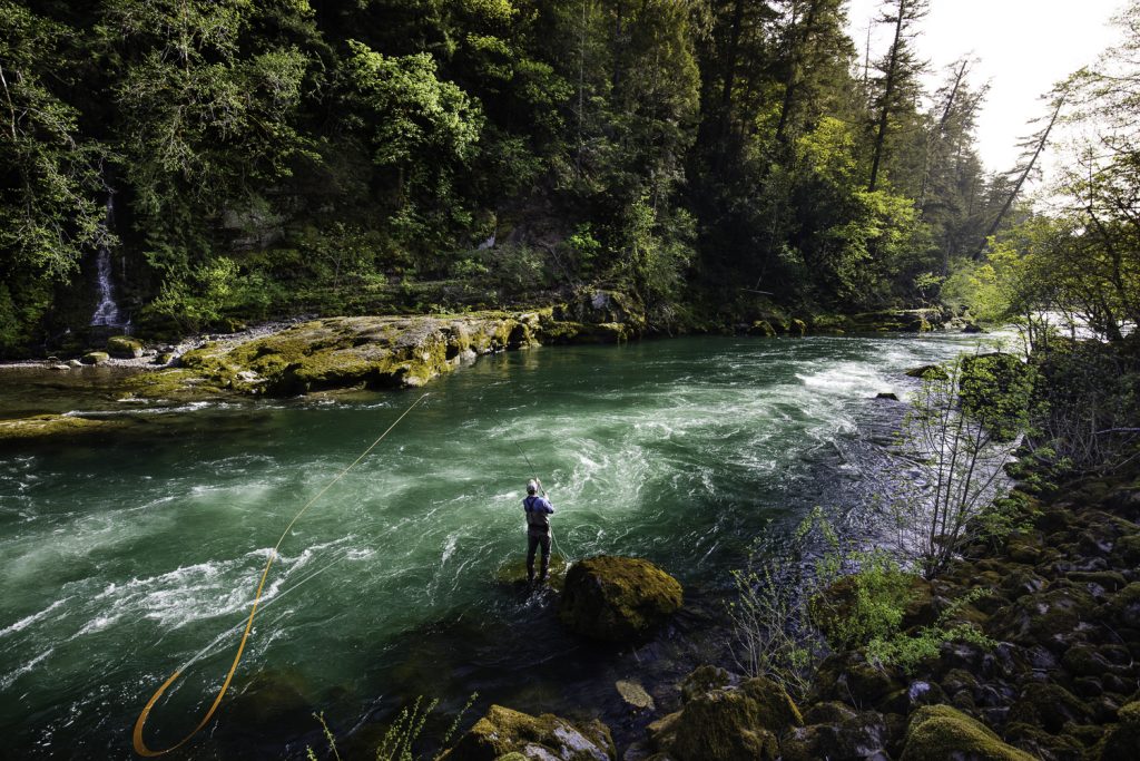 A man fly fishes on the North Umpqua River in Oregon