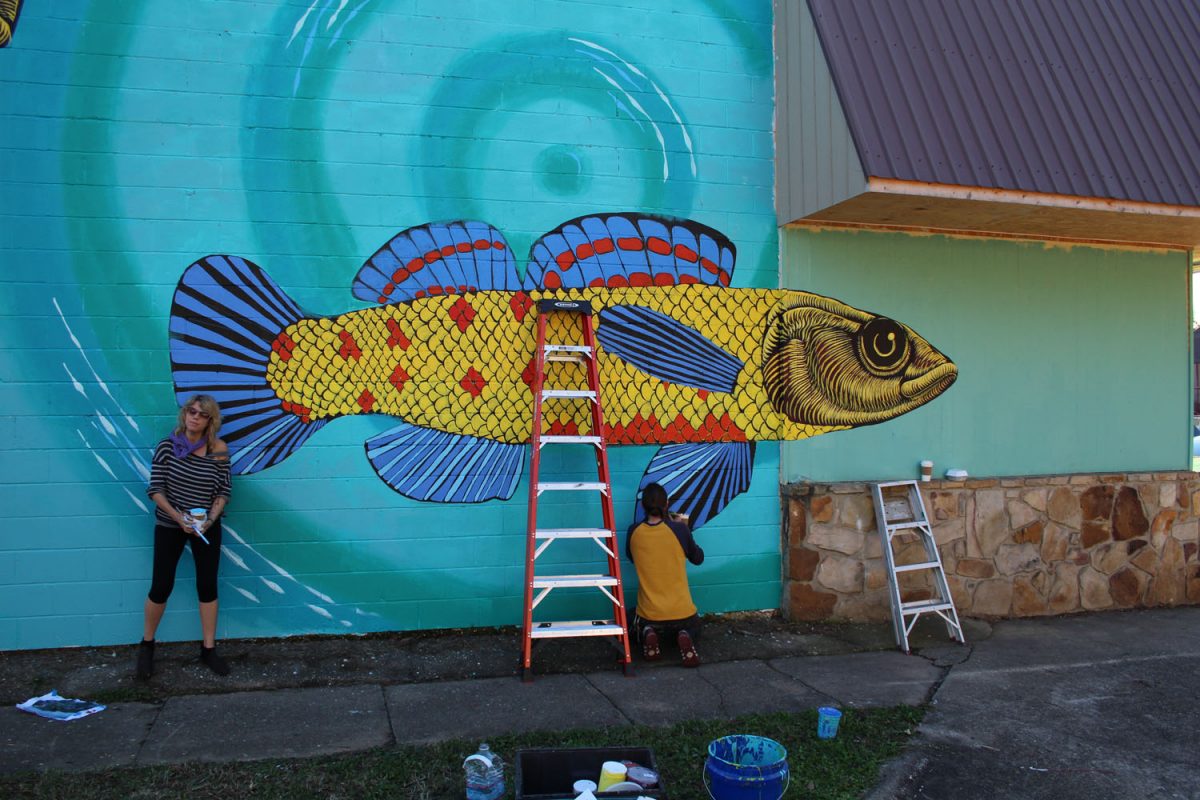 A mural of a watercress darter fish